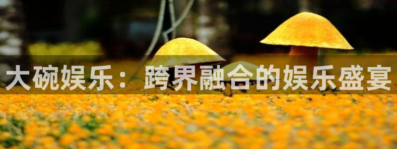 银河官网注册：大碗娱乐：跨界融合的娱乐盛宴