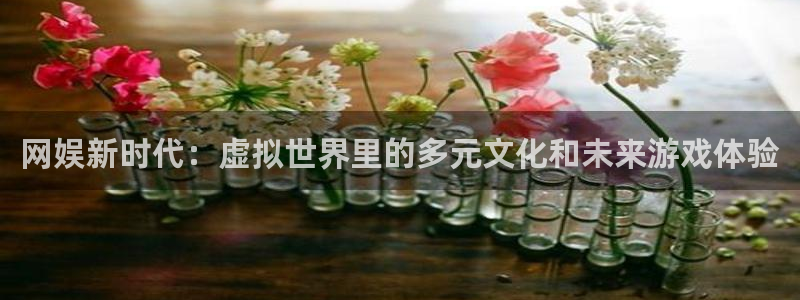 银河官网手机版：网娱新时代：虚拟世界里的多元文化和未来游戏体验