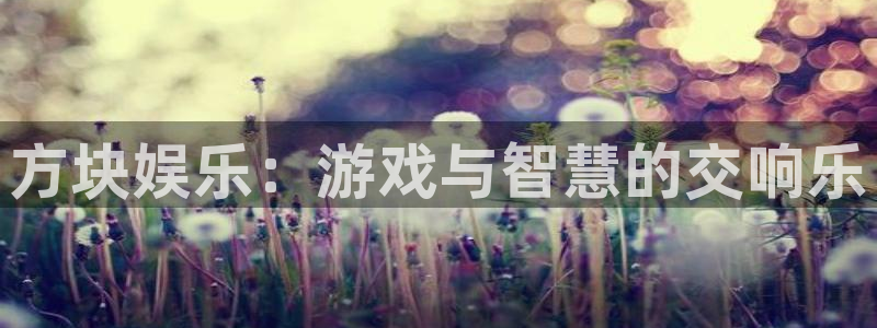 35uam银河官网：方块娱乐：游戏与智慧的交响乐