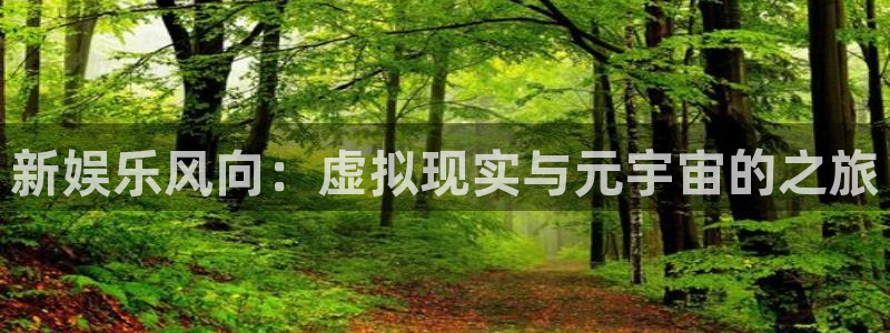 银河官网开户：新娱乐风向：虚拟现实与元宇宙的之旅